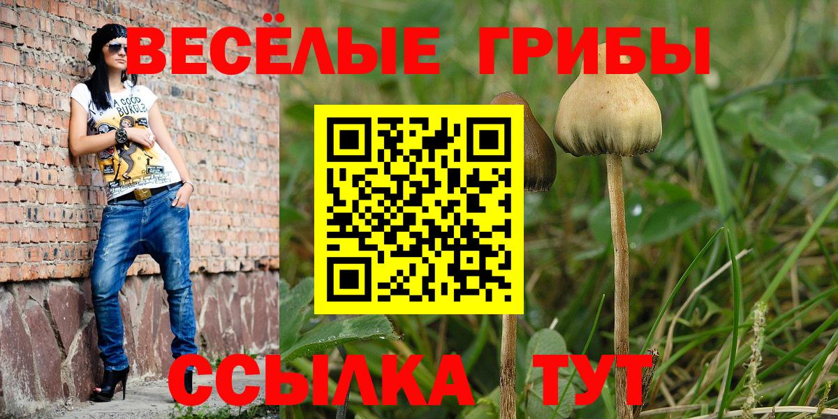 Псилоцибиновые грибы Magic Shrooms Егорьевск