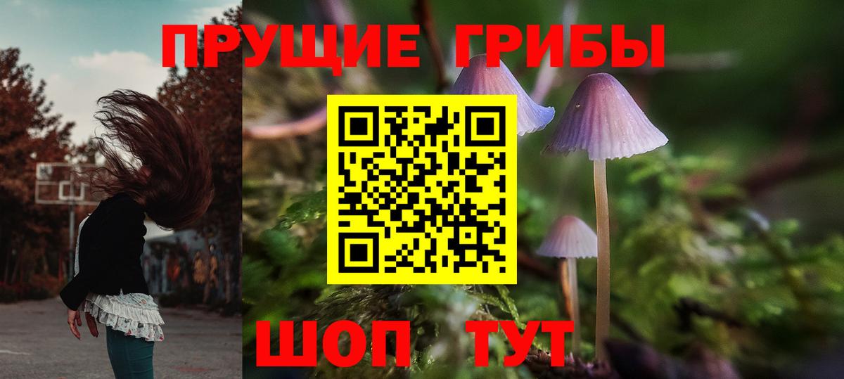 Галлюциногенные грибы ЛСД  Вход с VPN  Егорьевск 